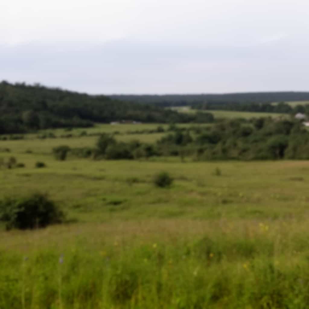 Bildverbesserung - Before